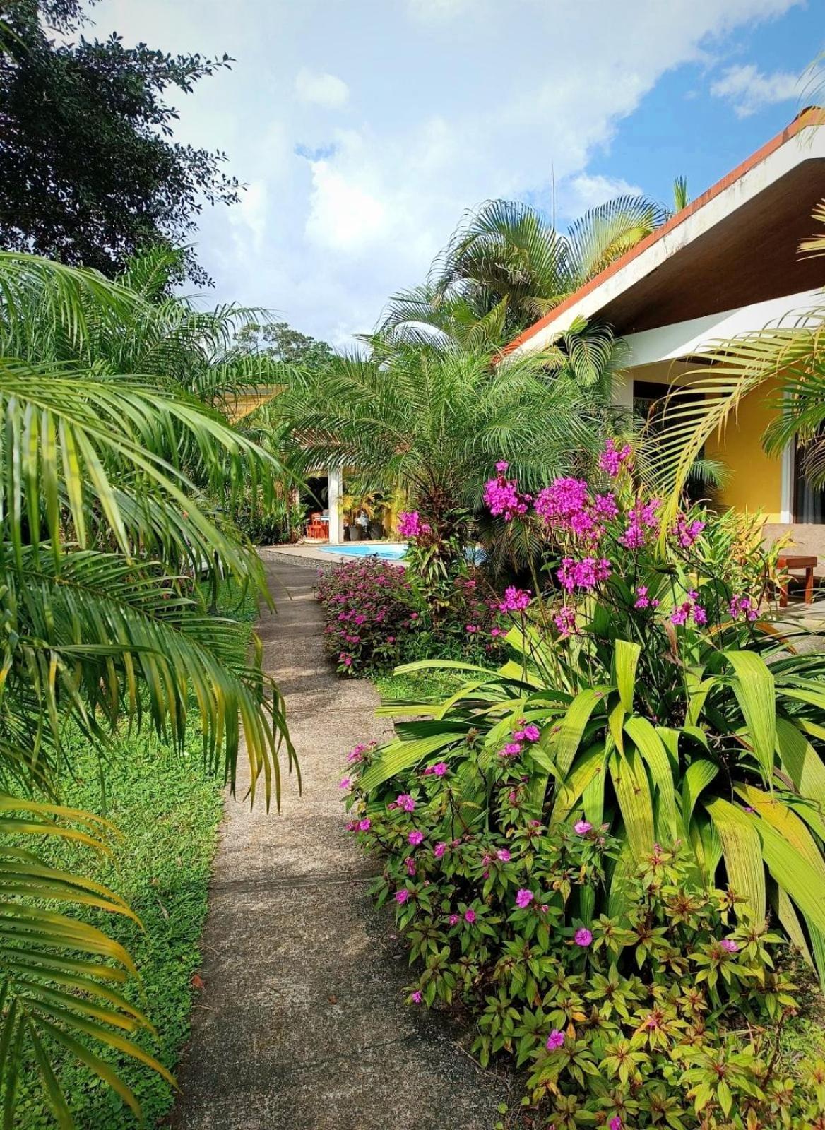 Arenal Villas Tranquilas, Free-Standing Equipped Houses Nuevo Arenal Eksteriør billede