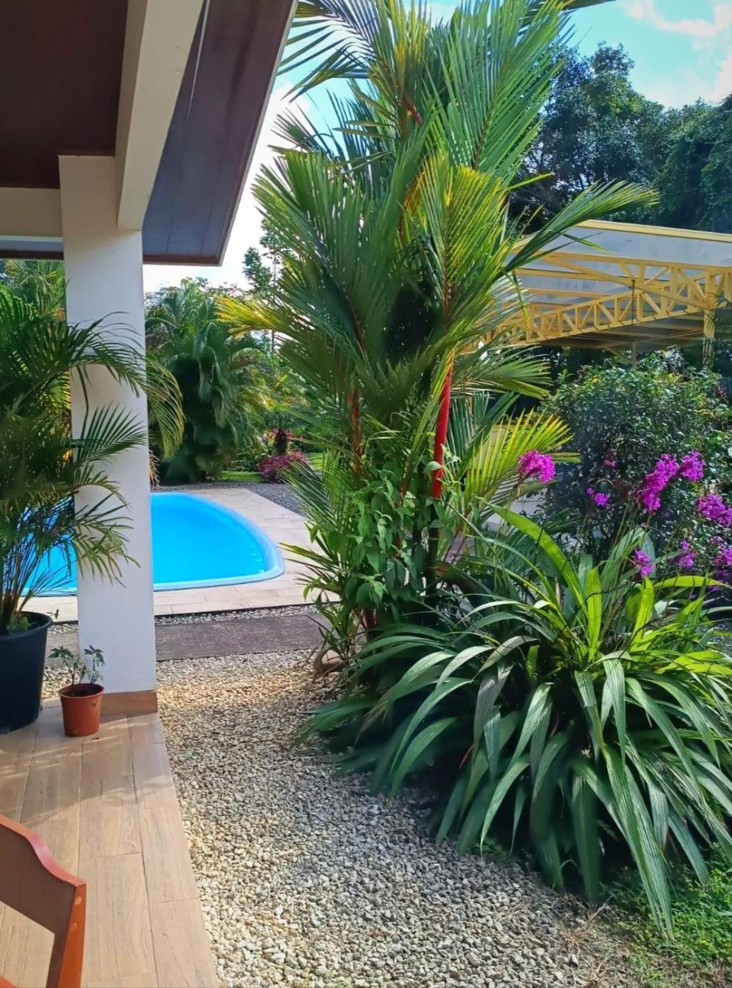 Arenal Villas Tranquilas, Free-Standing Equipped Houses Nuevo Arenal Eksteriør billede